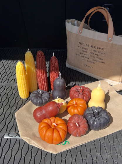 Butternut Squash Beeswax Candle